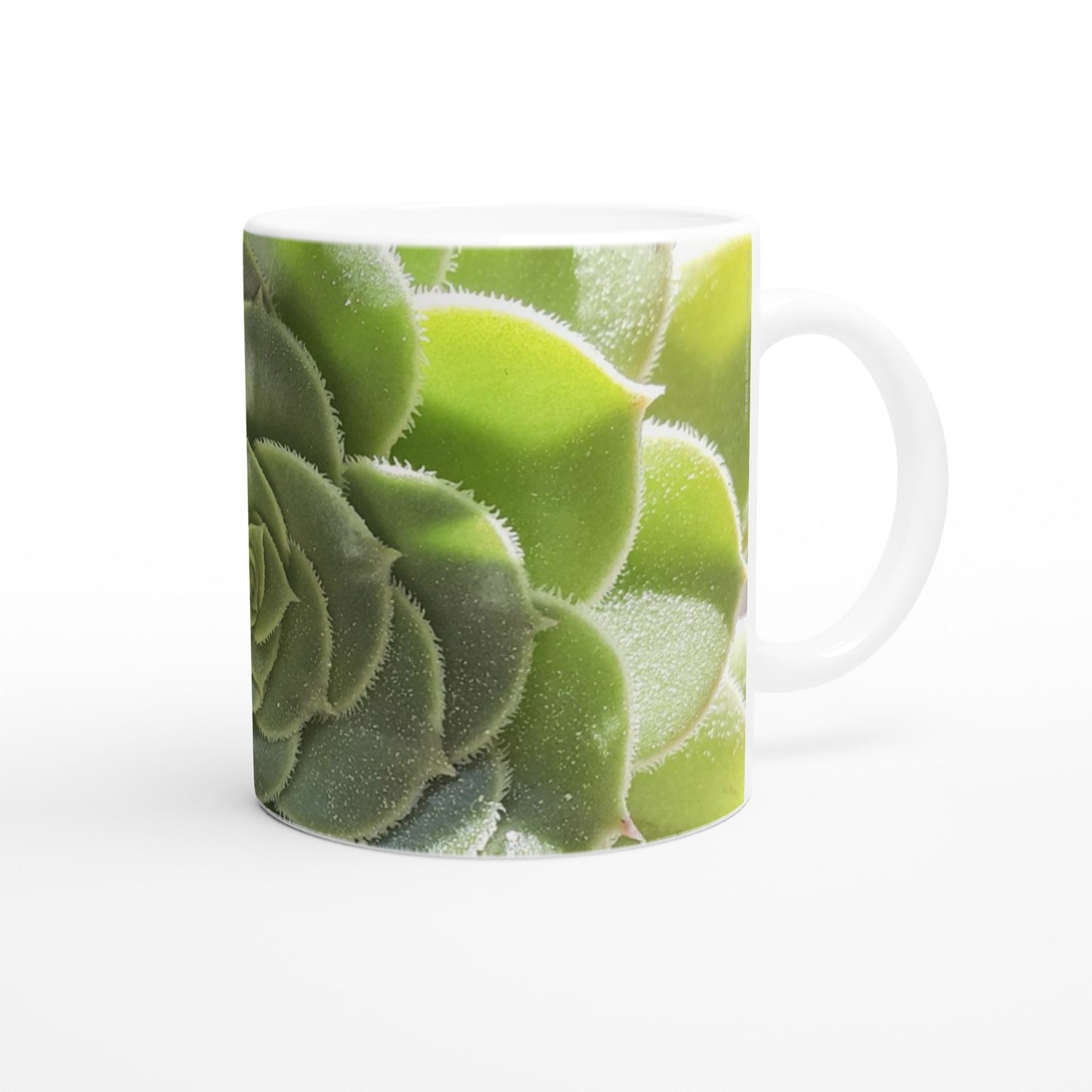 taza decorada con flor de cactus verde
