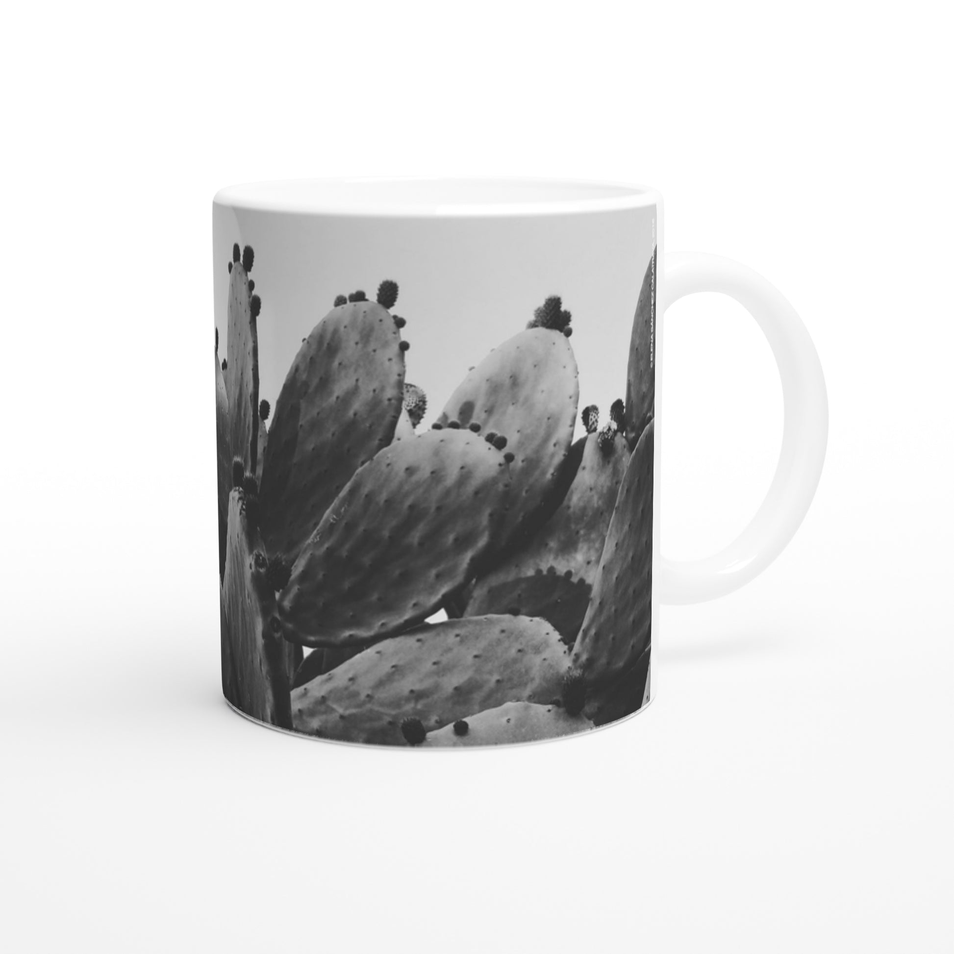 taza decorada por sublimación con imagen de chumbera